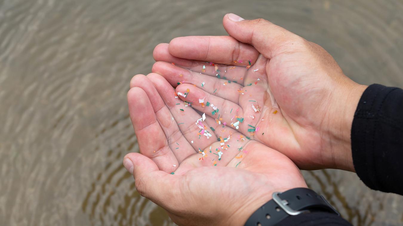 Microplastics In Hands