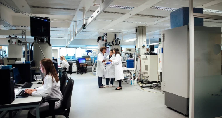 Sustainability Consultancy and Innovation Cleaner Seas Revolution