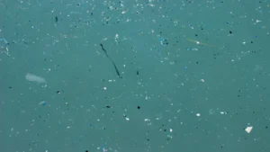 Microplastics In The Ocean