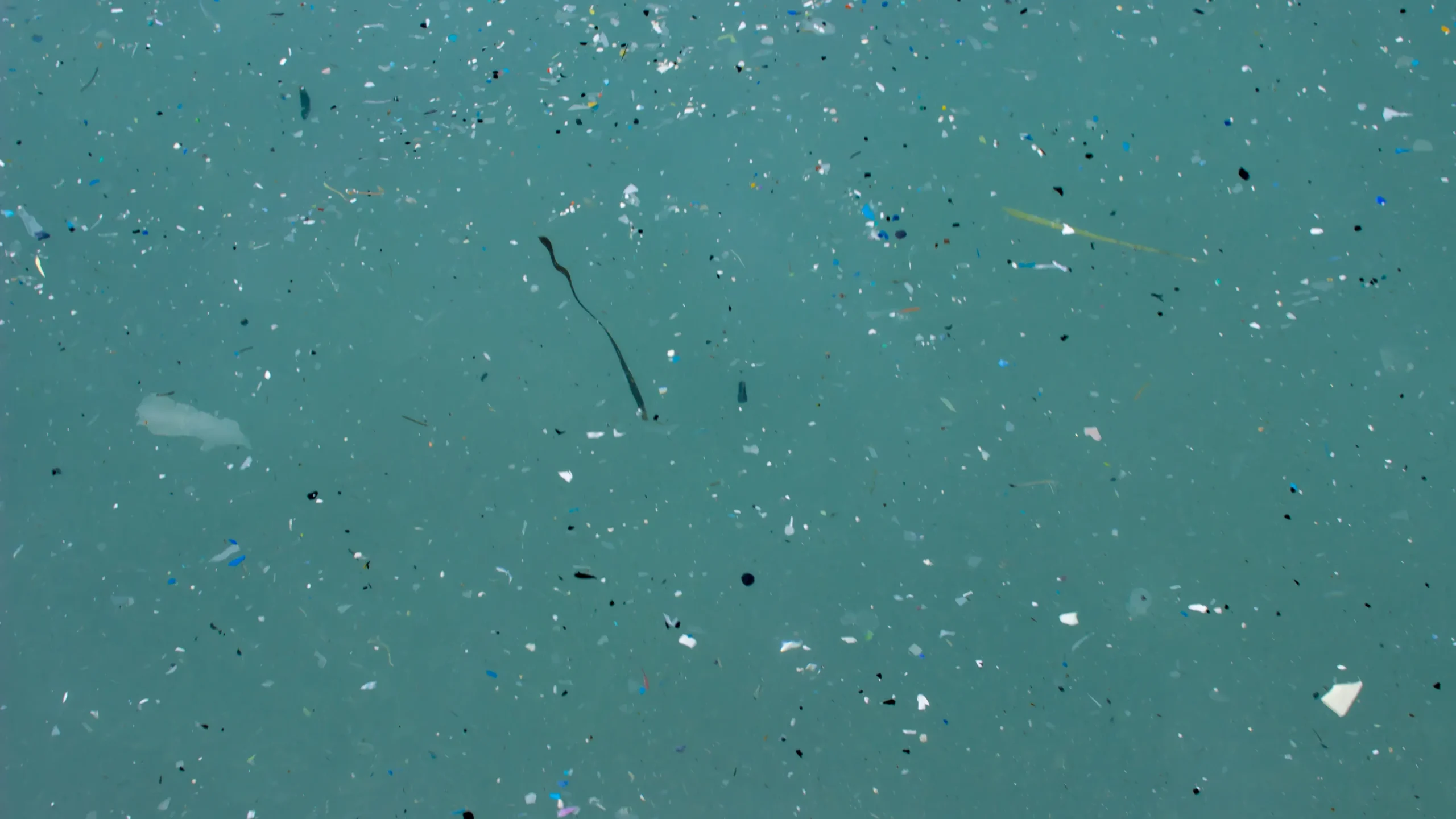 Microplastics In The Ocean