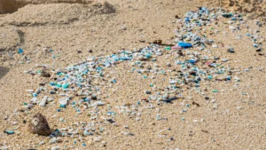 Microplastics On The Beach (1)