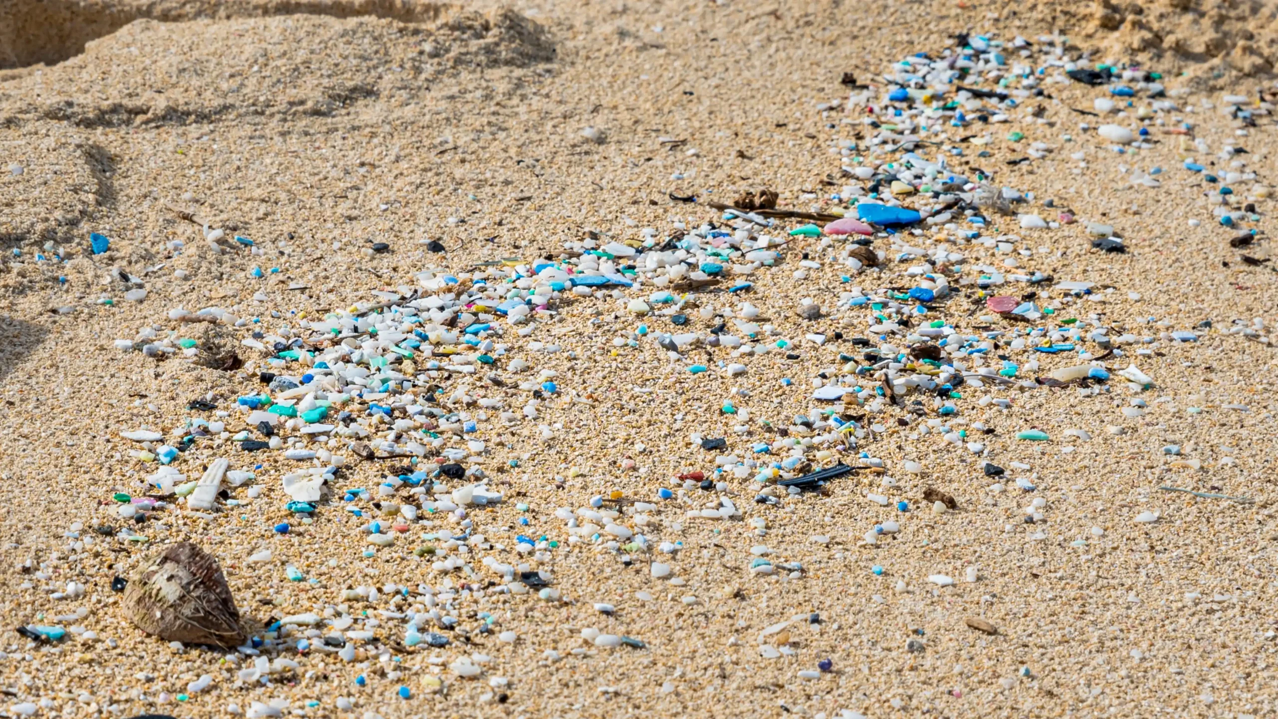 Microplastics On The Beach (1)